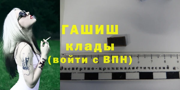 эйфоретик Няндома