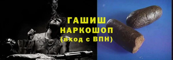 эйфоретик Няндома