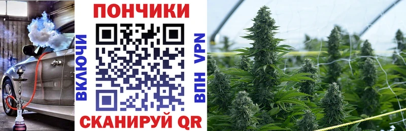 МАРИХУАНА семена  Купить где  Севастополь 